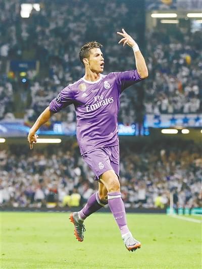 号种子组合 号种子组合